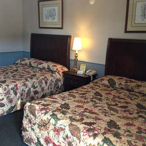 Cadet Motor Inn - Coldwater Ruang foto